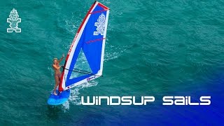 2017 Starboard WindSUP Sails [upl. by Amilas]