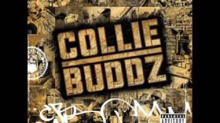 Collie Buddz Come Around Instrumental [upl. by Cristina183]