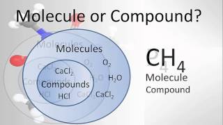 Molecule vs Compound Examples and Practice [upl. by Ahsilyt]