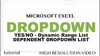 Excel  Drop Down List Tutorial  How to Create YesNo List Dynamic Range Dependent Drop Down List [upl. by Litt611]