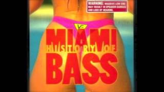 Old School Miami Booty Bass Feat 2 Live Crew Maggotron LTrimm 69 Boyz amp More [upl. by Aklam]