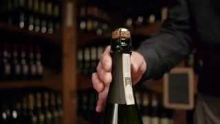 What is Prosecco [upl. by Cressler]