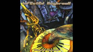 Infected Mushroom  Classical Mushroom  Full Album [upl. by Acirrehs301]