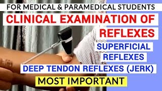 REFLEXES EXAMINATION  CLINICAL LAB  PHYSIOLOGY PRACTICALS [upl. by Aissatsana]