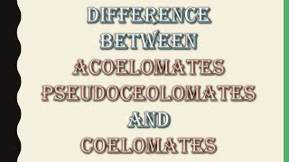 Difference between Acoelomates pseudocoelomates and ceolomatesZoologyBiology FscBsc [upl. by Essex]