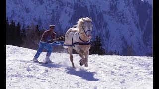 Skijoring  The Incredible Horse Skiing Sport [upl. by Aiveneg]