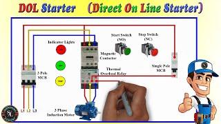 DOL Starter Connection with Indicator  3 Phase Direct On Line Starter Explain with Circuit Diagram [upl. by Meara]