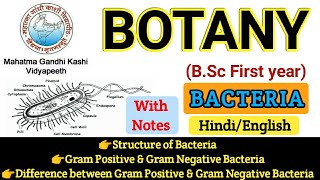 BSC First Year Botany  Botany First PaperStructure of BacteriaGram Ve amp Gram Ve Bacteria [upl. by Clarissa]