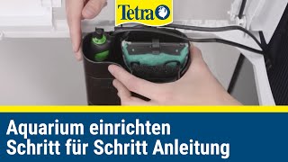 Aquarium einrichten und pflegen  Schritt für Schritt Anleitung [upl. by Attaymik]