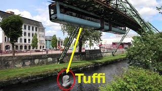 Elefant Tuffi  Wuppertal Schwebebahn  Tuffi amp suspension railway [upl. by Anohsal847]