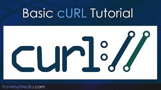 Basic cURL Tutorial [upl. by Alue215]