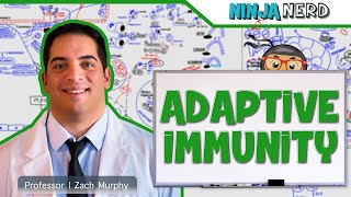 Immunology  Adaptive Immunity [upl. by Ahseem198]