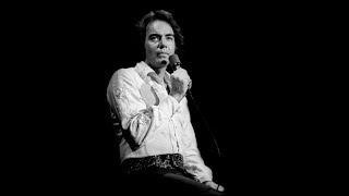 Neil Diamond  Morningside lyrics [upl. by Madora]