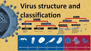 Virus structure and Classification  DNA and RNA virus [upl. by Knowlton]