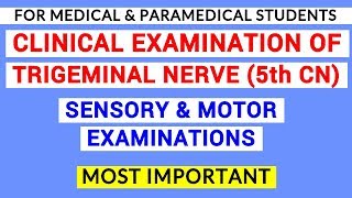 TRIGEMINAL NERVE EXAMINATION  CLINICAL LAB  PHYSIOLOGY [upl. by Truda]