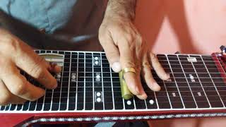 Grandioso ès Tu Guitarra Havaiana Hawaiian Steel Guitar 12 cordas [upl. by Cointon]