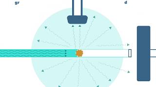 Durchflusszytometer  einfach erklärt  Fast Forward Science 2019 [upl. by Arodoet]