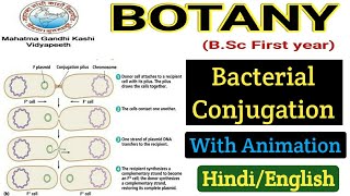 Genetic Recombination in Bacteria  Bacterial Conjunction  BSC first year Botany 1st paper [upl. by Nahtannhoj345]