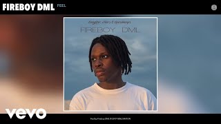 Fireboy DML  Feel Audio [upl. by Akinajnat]