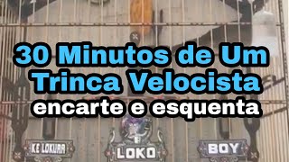 Será que seu Trinca Ferro aguenta 30 minutos desse Trinca Ferro Velocista de torneio [upl. by Henebry260]