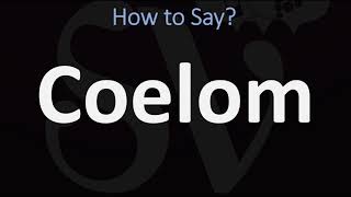 How to Pronounce Coelom CORRECTLY [upl. by Immat15]