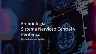 Embriología Sistema Nervioso [upl. by Farland139]