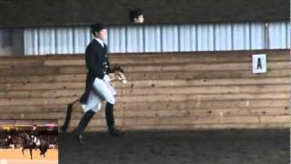 Totilas Freestyle Tribute  the whole stick horse performance [upl. by Yerahcaz752]