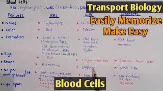 Blood Cells And Their It Types  RBC  WBC  Class 11 Biology [upl. by Onder]