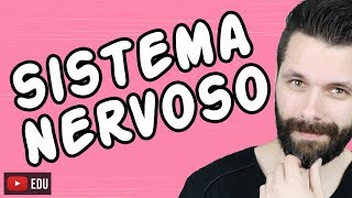 SISTEMA NERVOSO  FISIOLOGIA  Aula  Biologia com Samuel Cunha [upl. by Ecyt]