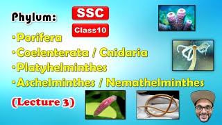 Animal Classification Lecture 3  Phylum 14  Class 10  SSC  Maharashtra state board [upl. by Simson]