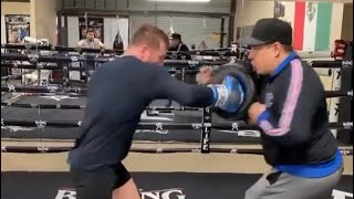 Canelo Alvarez P4P Number One Boxing Bag and Pad Work Training Highlight 2 [upl. by Naed895]