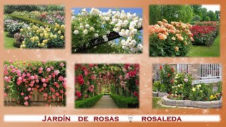 Rosaleda  Jardines de rosas [upl. by Nisaj438]