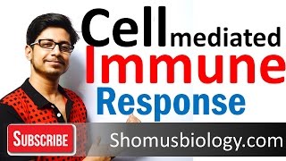 Cell mediated immunity  innate immune response [upl. by Tine877]