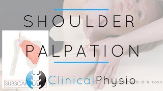 Shoulder Palpation  Clinical Physio Premium [upl. by Boru]