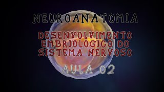 Neuroanatomia  Desenvolvimento Embrionário do Sistema Nervoso Aula 02 [upl. by Noryb]