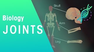 Joints  Physiology  Biology  FuseSchool [upl. by Ley]