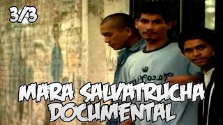 Mara Salvatrucha  Documental Español  33 [upl. by Anastasie]