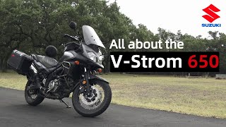 Everything You Need to Know Suzuki V Strom 650 [upl. by Girard529]