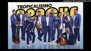 TROPICALISIMO APACHE Cumbias [upl. by Rosemaria]