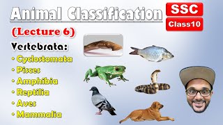 Animal Classification Lecture 6  Sub phylum VertebrataAll Classes  Class 10  SSC  state board [upl. by Annawot]