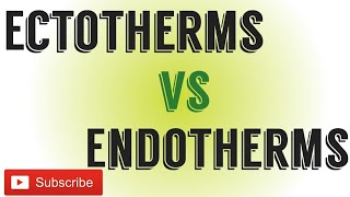 Ectotherms Vs EndothermsDifference between Ectotherms and endotherms [upl. by Aihseit225]