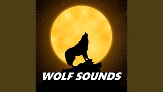 Wolves Howling [upl. by Iaka]