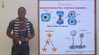 2 Classification II Kingdom Protoctista Protozoa and Algae Biology Form 3 [upl. by Aimahs]