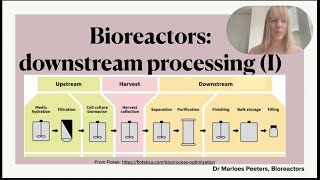 Downstream processing in the pharmaceutical industry Part I recovery and purification [upl. by Ingrim]