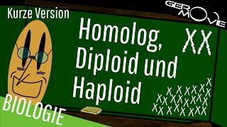 ► Homolog Diploid und Haploid  verständlich erklärt  Kurze Version [upl. by Orel165]