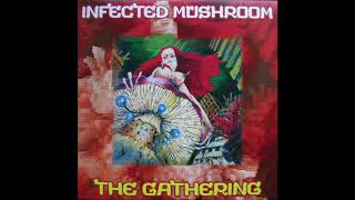 Infected Mushroom  The Gathering  Full Album [upl. by Doralynne]