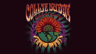 Collie Buddz  Show Love [upl. by Mamie]