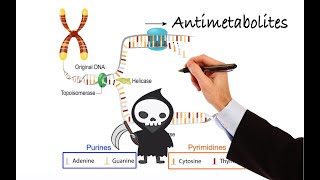 Pharmacology  CANCER DRUGS  ANTIMETABOLITES MADE EASY [upl. by Mikeb]