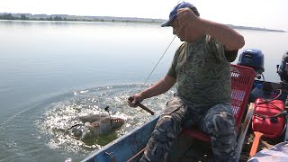 Pecanje soma na Dunavu  Bućka  Brza Palanka  Fishing catfish [upl. by Novyat729]