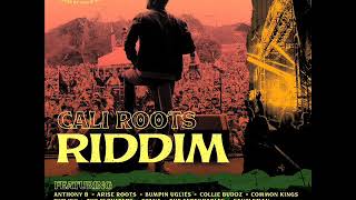 Cali Roots Riddim Mix Full Feat Etana Collie Buddz Anthony B Gentleman Jesse Royal May 2020 [upl. by Morez895]